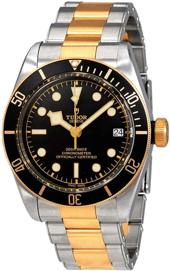 Tudor Black Bay S&G 41mm M79733N-0008 (steel and yellow gold, black dial, two-tone bracelet, 2017-generation reference) — reference photograph